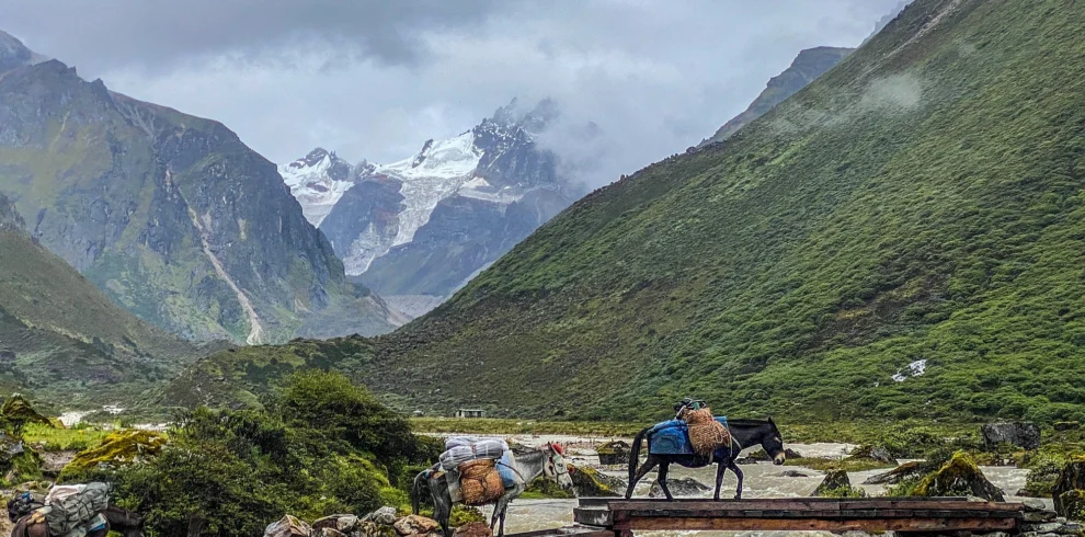Dagala Trek(1)